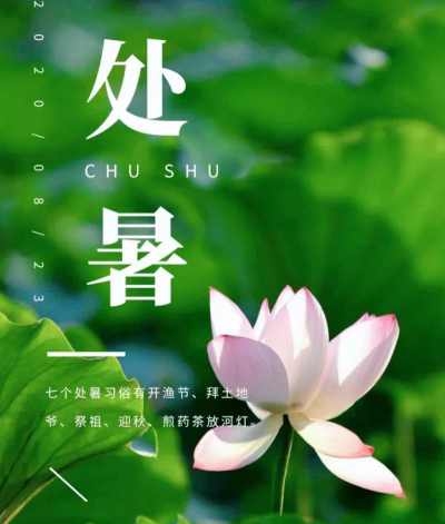 家里阳光不足怎么养花，选对植物种类，掌握养护技巧