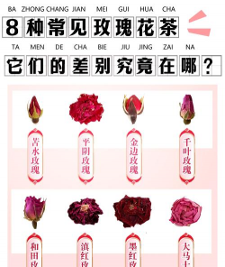 家里阳光不足怎么养花，选对植物种类，掌握养护技巧