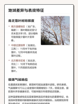 家里阳光不足怎么养花，选对植物种类，掌握养护技巧