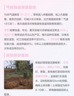 家里阳光不足怎么养花，选对植物种类，掌握养护技巧