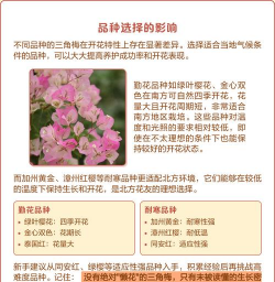 家里阳光不足怎么养花，选对植物种类，掌握养护技巧