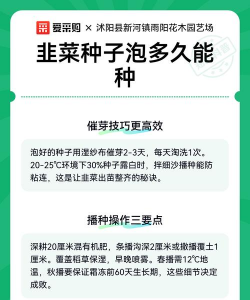 家里阳光不足怎么养花，选对植物种类，掌握养护技巧