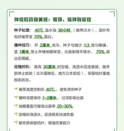 家里阳光不足怎么养花，选对植物种类，掌握养护技巧