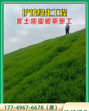 家里阳光不足怎么养花，选对植物种类，掌握养护技巧