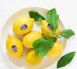 家里阳光不足怎么养花，选对植物种类，掌握养护技巧