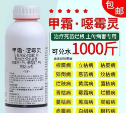 家里阳光不足怎么养花，选对植物种类，掌握养护技巧