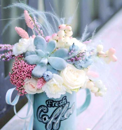 家里阳光不足怎么养花，选对植物种类，掌握养护技巧