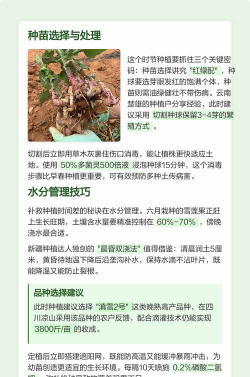 家里阳光不足怎么养花，选对植物种类，掌握养护技巧