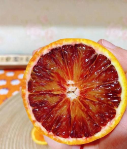 家里阳光不足怎么养花，选对植物种类，掌握养护技巧