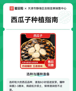 家里阳光不足怎么养花，选对植物种类，掌握养护技巧