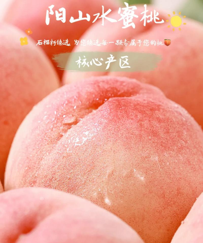 家里阳光不足怎么养花，选对植物种类，掌握养护技巧