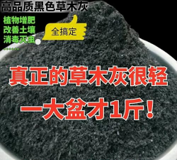 家里阳光不足怎么养花，选对植物种类，掌握养护技巧