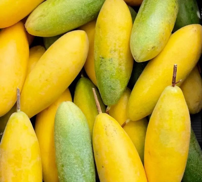 家里阳光不足怎么养花，选对植物种类，掌握养护技巧