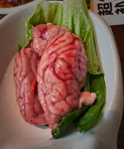 家里阳光不足怎么养花，选对植物种类，掌握养护技巧