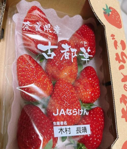 家里阳光不足怎么养花，选对植物种类，掌握养护技巧