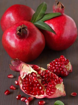 家里阳光不足怎么养花，选对植物种类，掌握养护技巧