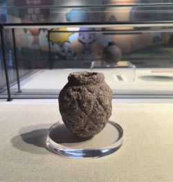 家里阳光不足怎么养花，选对植物种类，掌握养护技巧