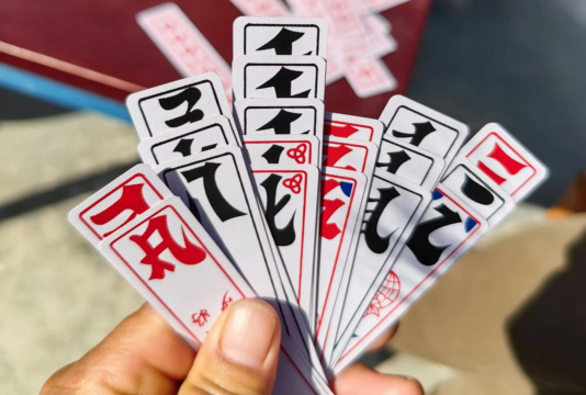 家里阳光不足怎么养花，选对植物种类，掌握养护技巧