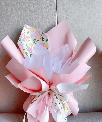 家里阳光不足怎么养花，选对植物种类，掌握养护技巧