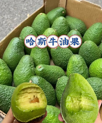 家里阳光不足怎么养花，选对植物种类，掌握养护技巧