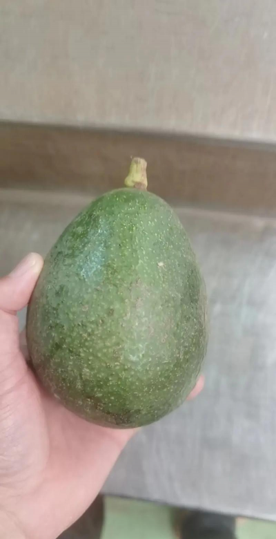 家里阳光不足怎么养花，选对植物种类，掌握养护技巧