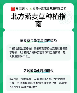 燕麦能种植吗怎么种植的 燕麦能种植吗怎么种植的