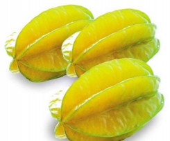 家里阳光不足怎么养花，选对植物种类，掌握养护技巧