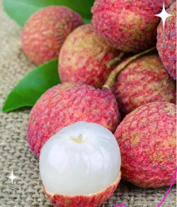 家里阳光不足怎么养花，选对植物种类，掌握养护技巧