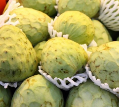 家里阳光不足怎么养花，选对植物种类，掌握养护技巧