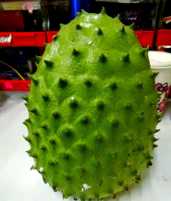 家里阳光不足怎么养花，选对植物种类，掌握养护技巧