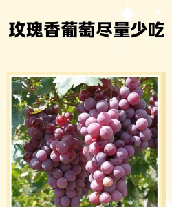 家里阳光不足怎么养花，选对植物种类，掌握养护技巧