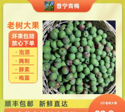 家里阳光不足怎么养花，选对植物种类，掌握养护技巧