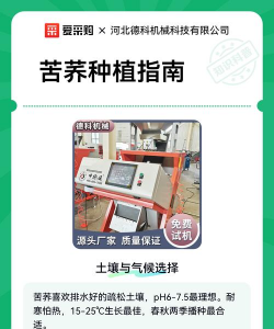 家里阳光不足怎么养花，选对植物种类，掌握养护技巧