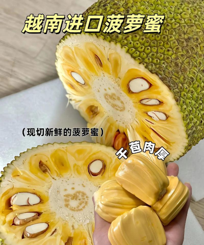 家里阳光不足怎么养花，选对植物种类，掌握养护技巧