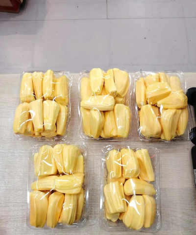 家里阳光不足怎么养花，选对植物种类，掌握养护技巧