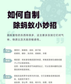 永久去除蚂蚁的小妙招 永久去除蚂蚁的小妙招