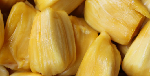 家里阳光不足怎么养花，选对植物种类，掌握养护技巧