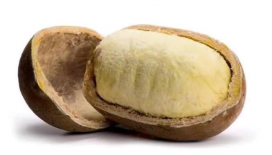 家里阳光不足怎么养花，选对植物种类，掌握养护技巧