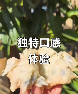 家里阳光不足怎么养花，选对植物种类，掌握养护技巧