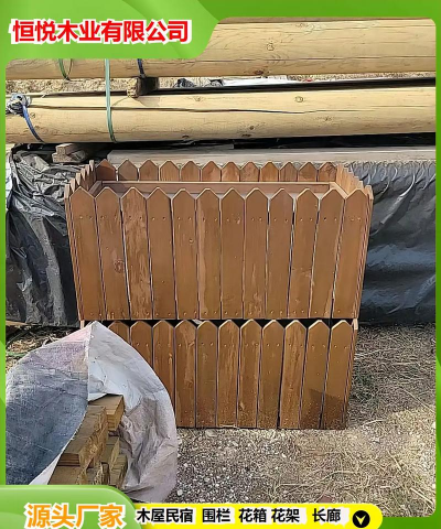 家里阳光不足怎么养花，选对植物种类，掌握养护技巧