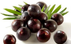 家里阳光不足怎么养花，选对植物种类，掌握养护技巧