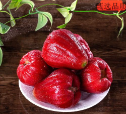 家里阳光不足怎么养花，选对植物种类，掌握养护技巧