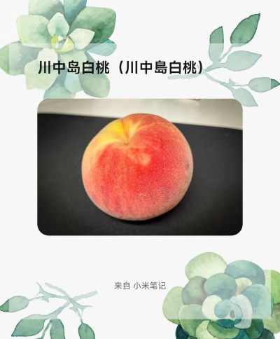 家里阳光不足怎么养花，选对植物种类，掌握养护技巧