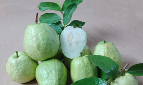 家里阳光不足怎么养花，选对植物种类，掌握养护技巧