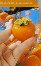 家里阳光不足怎么养花，选对植物种类，掌握养护技巧