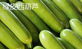 家里阳光不足怎么养花，选对植物种类，掌握养护技巧