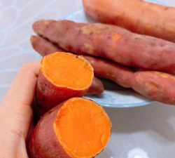 家里阳光不足怎么养花，选对植物种类，掌握养护技巧