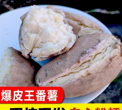 家里阳光不足怎么养花，选对植物种类，掌握养护技巧