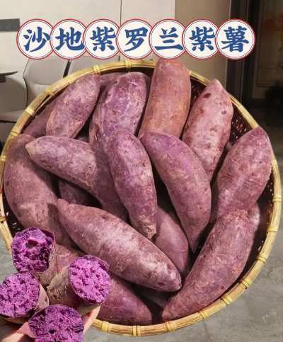 家里阳光不足怎么养花，选对植物种类，掌握养护技巧