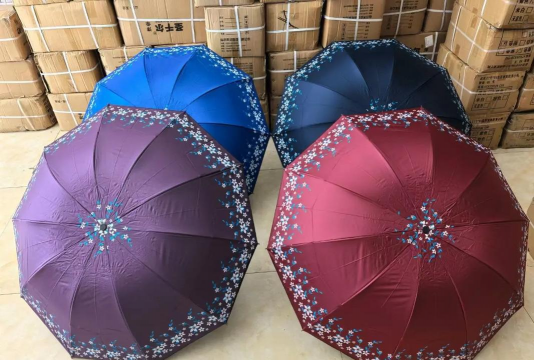 家里阳光不足怎么养花，选对植物种类，掌握养护技巧